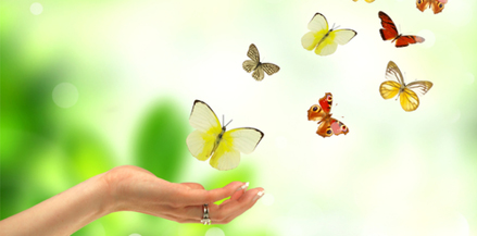 Blog Home butterflieshand