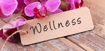 Blog Home wellness2