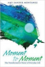 Moment to Moment: The Transformative Power of Everyday Life