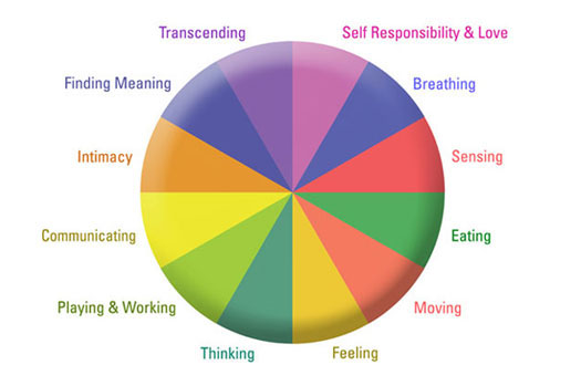 Wellness Inventory - Wellness Wheel